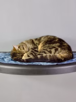 Catipilla legplank zwart