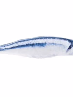 Sardien met Matatabi 20cm