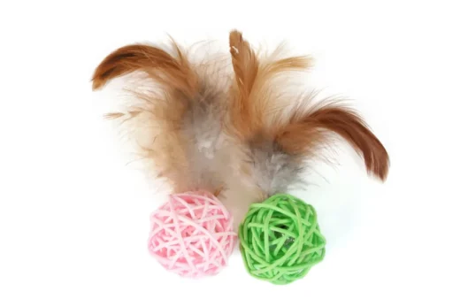 O'lala Pets Ball Tangled with Feathers