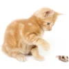Our Pet's Play-N-Squeak Shake y'r Tail Feather Cat Toy - Afbeelding 2