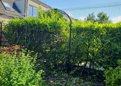 Katvriendelijke tuin in Amstelveen met veilige omheining, veel groen, loungeplekjes en speelplekjes voor katten.