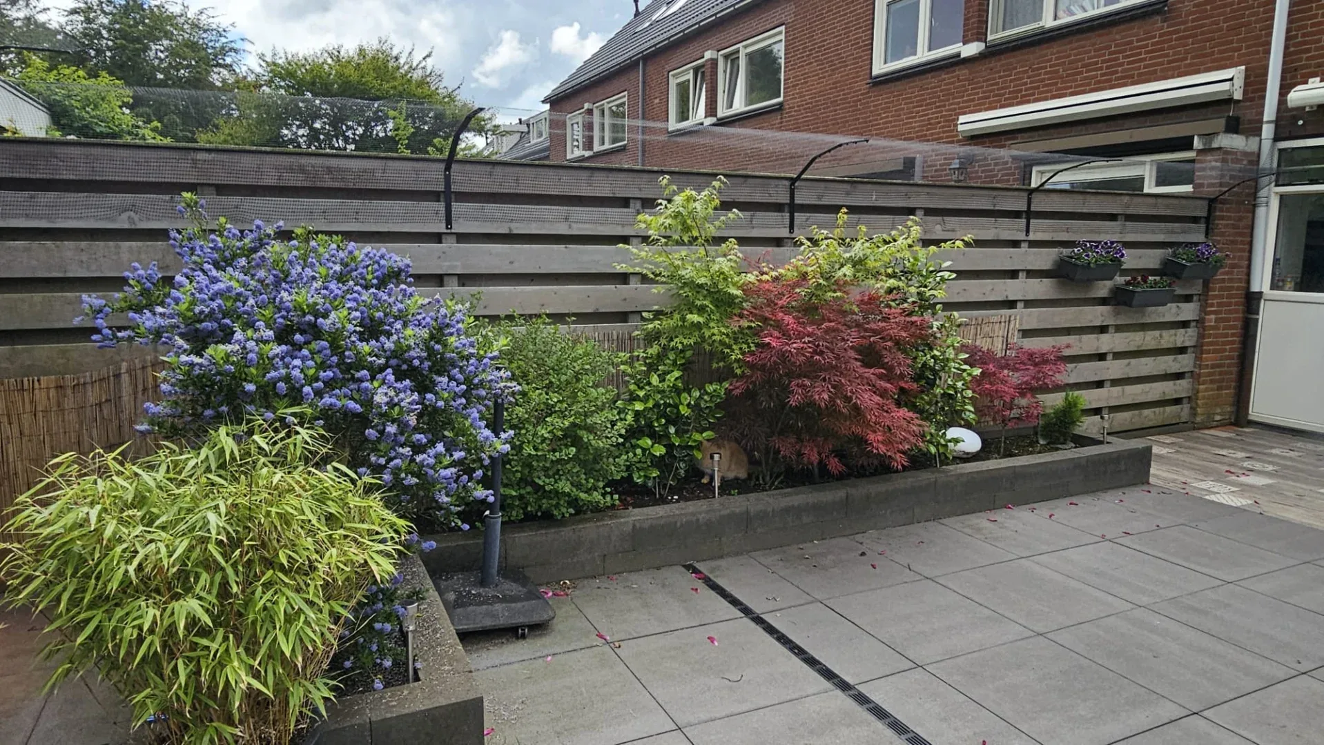 Katvriendelijke tuin in Amstelveen met veilige omheining, veel groen, loungeplekjes en speelplekjes voor katten.