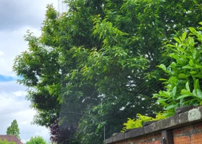 Katvriendelijke tuin in Oudenaarde, België met veilige omheining, veel groen, loungeplekjes en klimopties voor katten.