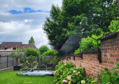 Katvriendelijke tuin in Oudenaarde, België met veilige omheining, veel groen, loungeplekjes en klimopties voor katten.