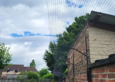 Katvriendelijke tuin in Oudenaarde, België met veilige omheining, veel groen, loungeplekjes en klimopties voor katten.