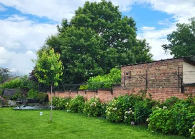 Katvriendelijke tuin in Oudenaarde, België met veilige omheining, veel groen, loungeplekjes en klimopties voor katten.