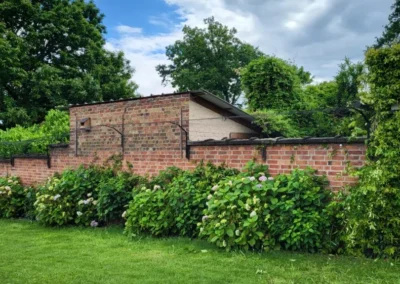 Katvriendelijke tuin in Oudenaarde, België met veilige omheining, veel groen, loungeplekjes en klimopties voor katten.