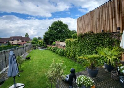 Katvriendelijke tuin in Oudenaarde, België met veilige omheining, veel groen, loungeplekjes en klimopties voor katten.