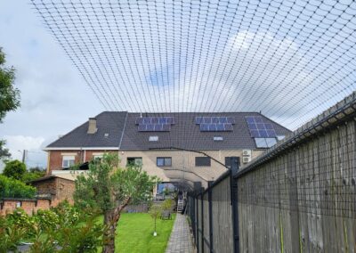 Katvriendelijke tuin in Oudenaarde, België met veilige omheining, veel groen, loungeplekjes en klimopties voor katten.