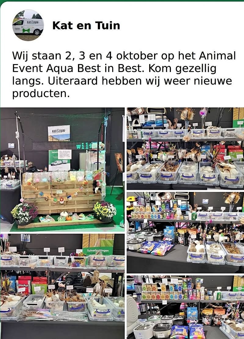 Actie